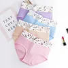 4 Pieces Panties for women cotton plus size big size underwear female causal underpants ladies sexy lingerie cartoon briefs ► Photo 2/6