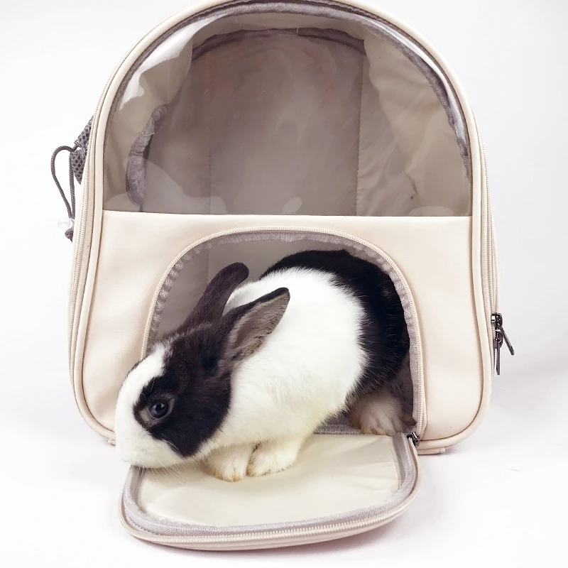 Pet Backpack