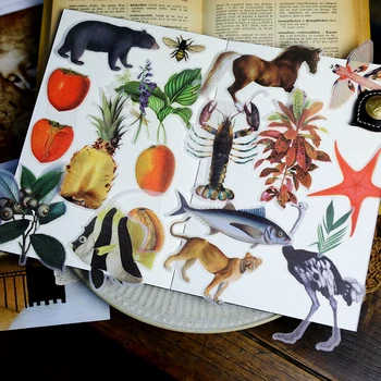 

50Pcs Vintage Encyclopedia Zoo Animals Vellum Sticker DIY Craft Scrapbooking Album Junk Journal Planner Decorative Stickers