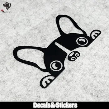 

NO.LN212 Cute French Bulldog Dog 3M MOTO GP Sticker Car Sticker Decals Racing Stickers Motorcycle Bike