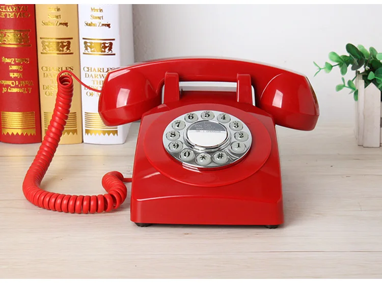 O1CN01T51oeW1lzfLAKcOvF_!!23894890