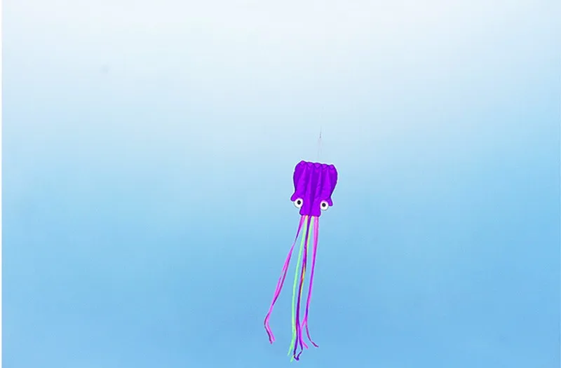 HTB1j6IWKVXXXXarapXXq6xXFXXXt