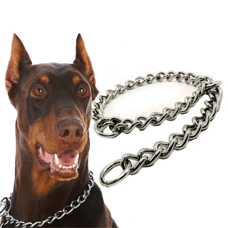 Snake Chain Collar vlr.eng.br