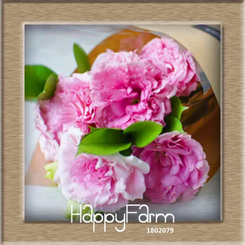 Большая распродажа! 7 цветов Эустома бонсай многолетние цветущие растения горшечные цветы сад Lisianthus flores, 100 шт./пакет,# EU37KY - Цвет: 6