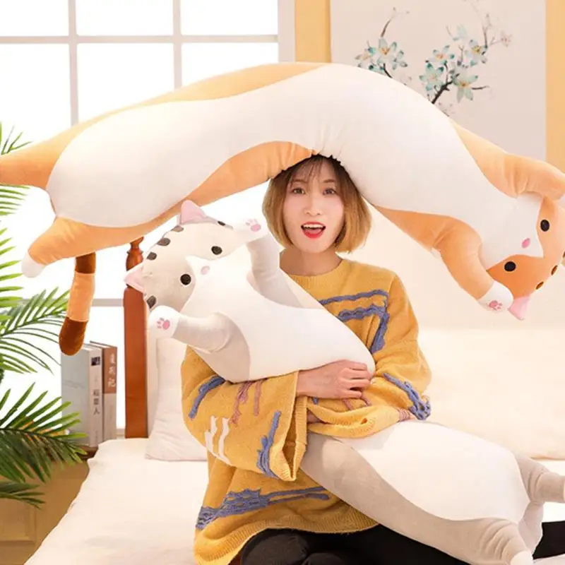 QTQ0018B_09