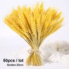 50pcs-23cm-Gold