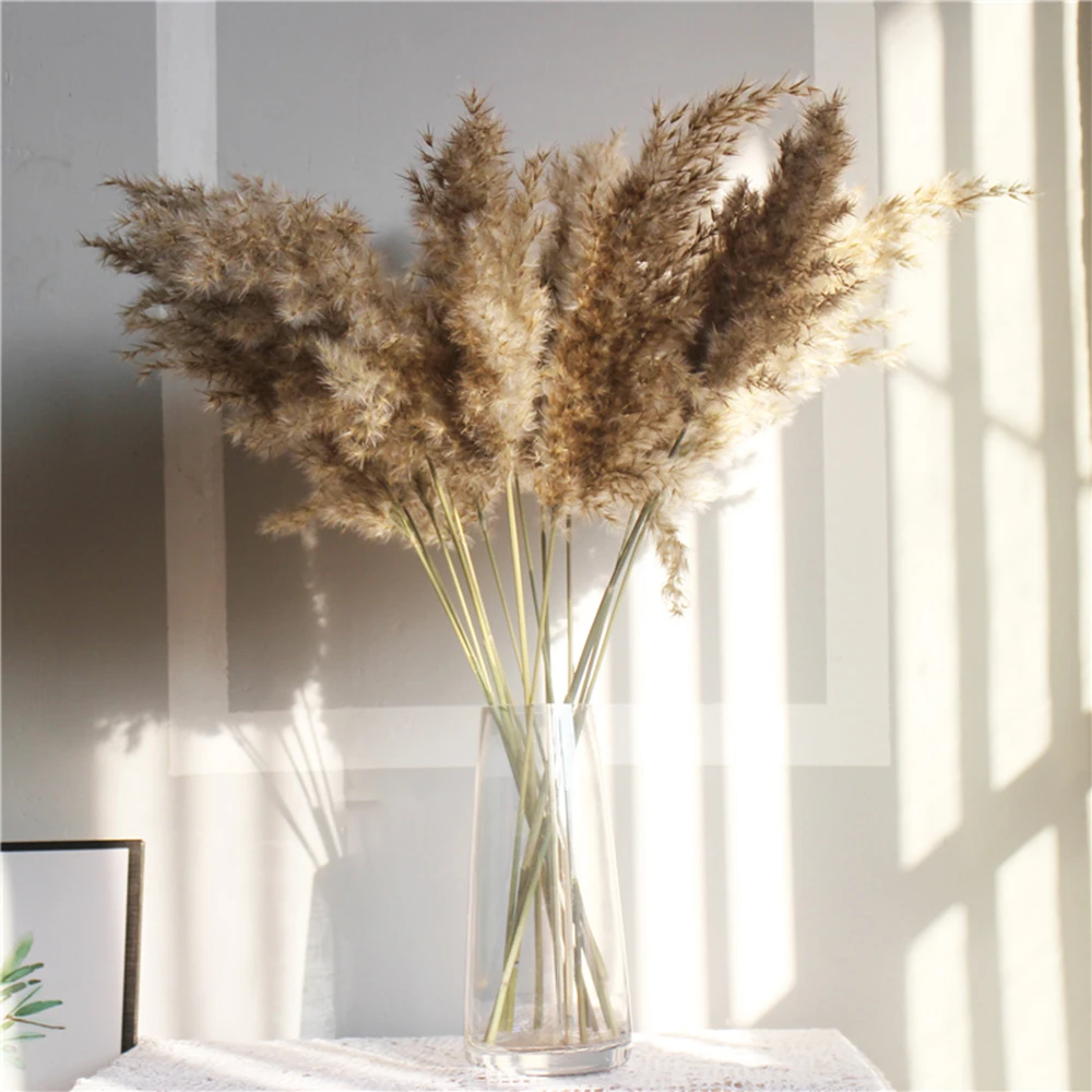 10-Pcs-Pampas-Grass-Real-Dried-Plants-Decor-Wedding-Flower-Bunch-Natural-Plants-Decor-Flowers-Free (1)