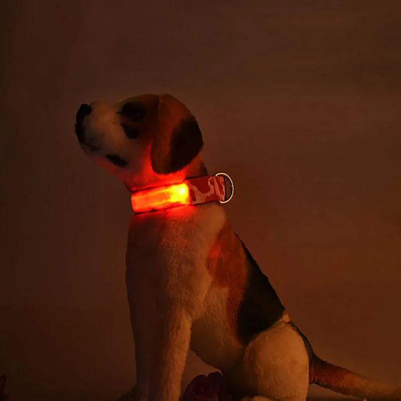 Светодиодный ошейник для собак, ночной безопасный мигающий поводок для собак, светящиеся люминесцентные ошейники для собак, ошейник для домашних животных