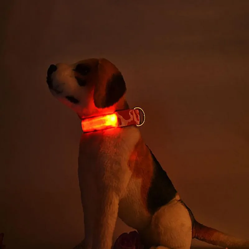 

LED Pet Dog Collar Night Safety Flashing Dog Leash Dogs Luminous Fluorescent Collars For Pet Dog Collar Pet Supplies