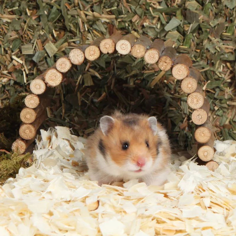 Natural Moss Hamster Tunnel Dwarf Rat Chipmunk Tunnel Small Animal Cage  Landscaping Supplies Hamsters Toy Rat Accessories - AliExpress