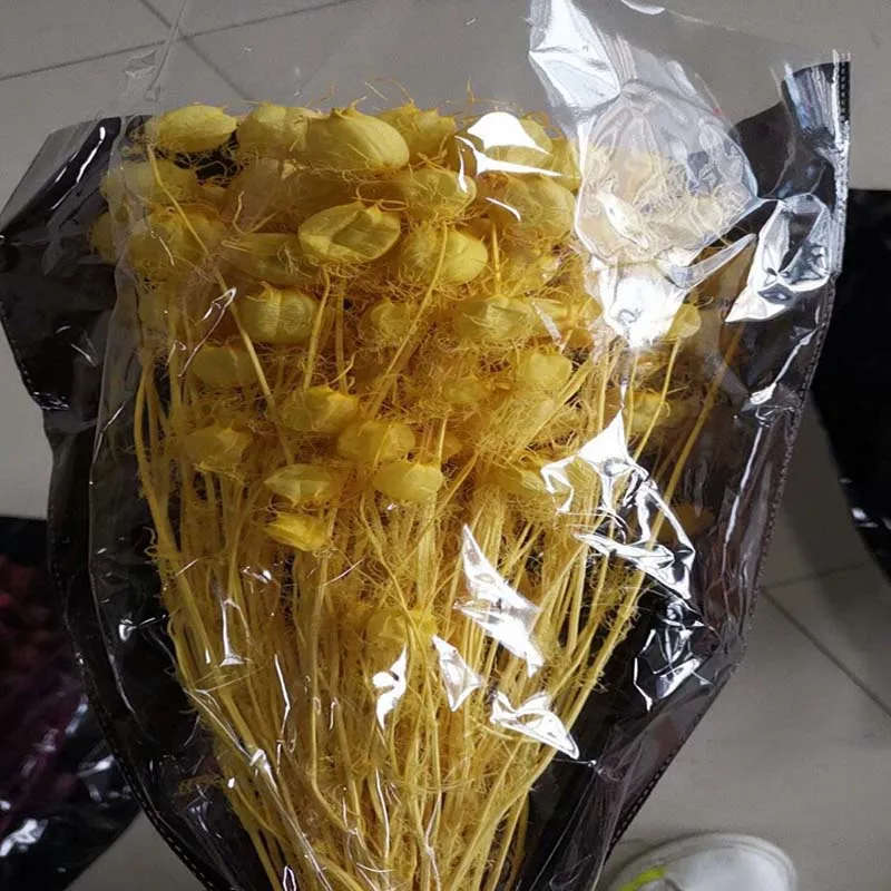 100g Вечный цветок, фонарь, трава, цветок, Подарочная коробка, "сделай сам" одинаковая трава, цветок, материал, трава, вечный цветок одинаковая верхняя одежда для мамы, материал
