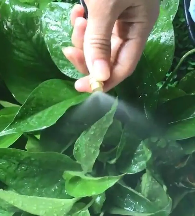 5x Tuinplant Vernevelingskoelsysteem Messing Mist Koperen Mondstuk Sproei Sprinkler Water Geven Tuinplanter Gereedschap Benodigdheden