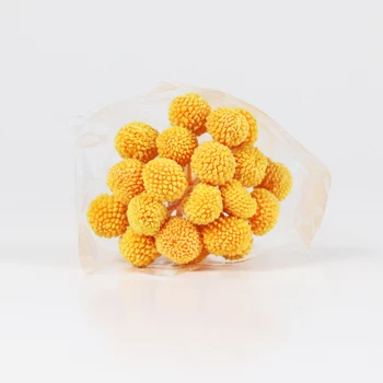 

Real natural preserved golden ball unfading preserved foliage Craspedia