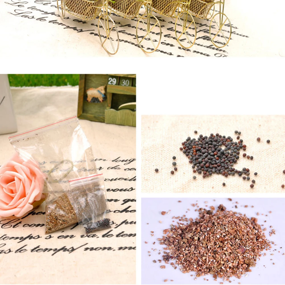 Diy семена бонсай для дома и сада в форме велосипеда, стойки, семена травы, Декор, Декор, растения