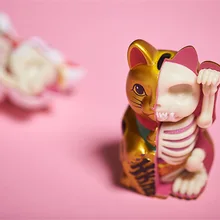 4D мастер-артист Джейсон Фрей образовательный Собранный Золотой счастливый кот прозрачный скелетный анатомия