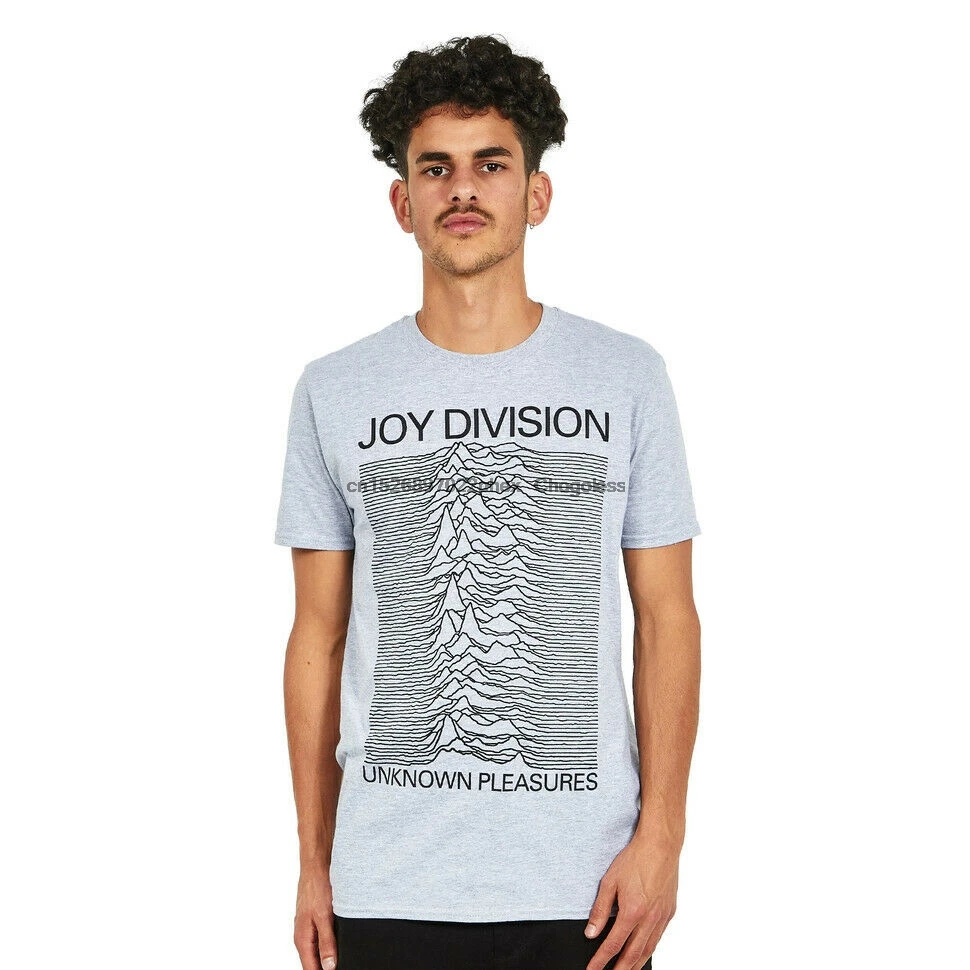 Серая футболка Joy Division - Unknown приятности (серый) | Мужская одежда