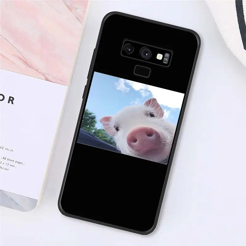 Cute Little Pink Pet Pig