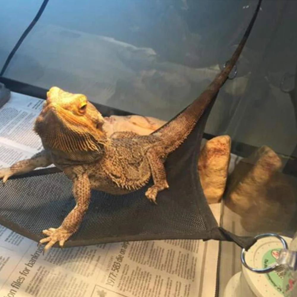 2pcs Pet Hammock Mesh Sleeping Bed Play Toys for Reptile Snake Lizard Climb Products with Suction Cups NEW