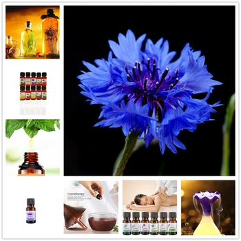 

Hot Sale 100% Natural Aromatherapy Fragrance Essential Oil for Aromatherapy Diffusers 10ml Relieve Stress Air Fresh Kapok Oils