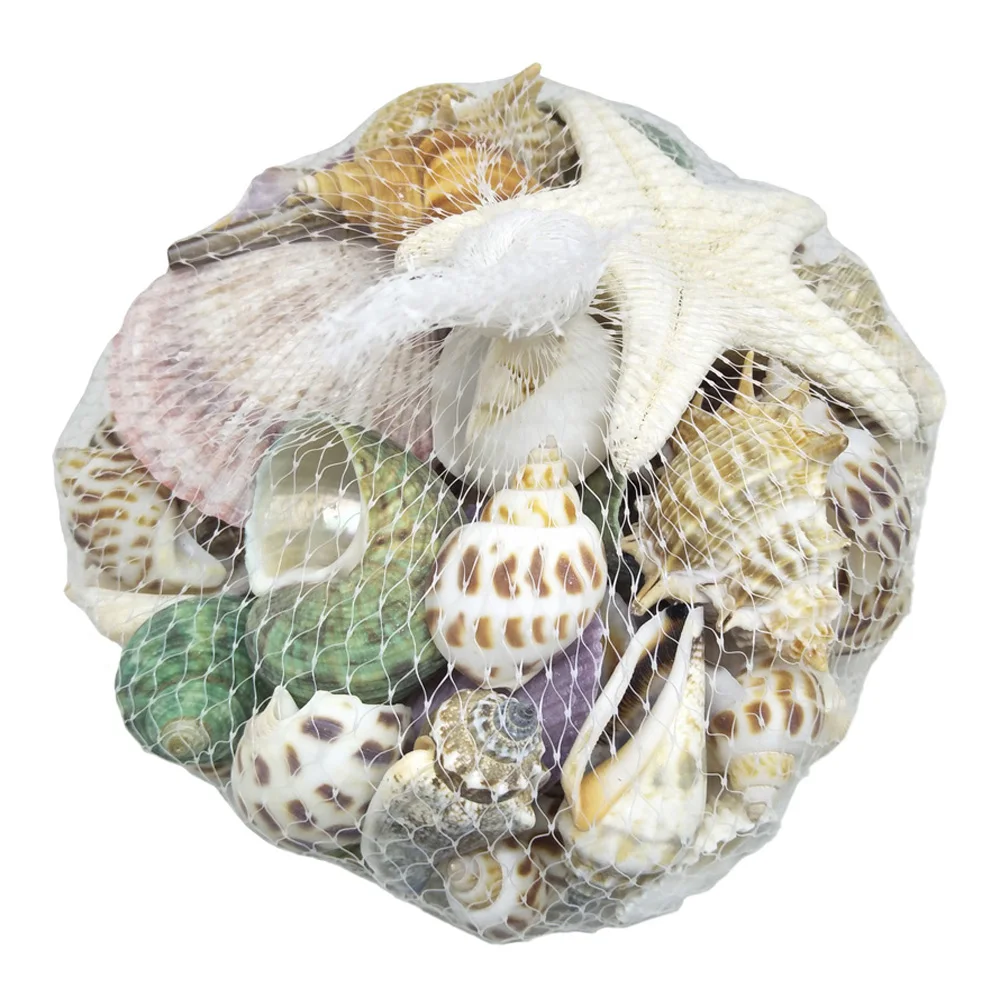 

DIY 300g Mixed SeaShells Mediterranean style Sea Natural Shells Craft Decoration