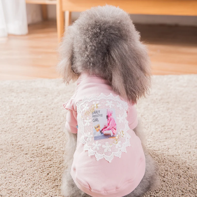 Hipidog Одежда для маленьких щенков зимняя кофта с капюшоном для домашнего животного Толстовка для собак Прямая поставка