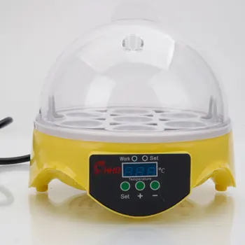 

7-Egg Mini Practical Poultry Electric Incubator egg incubator hatching machine poultry egg incubators (US Standard)