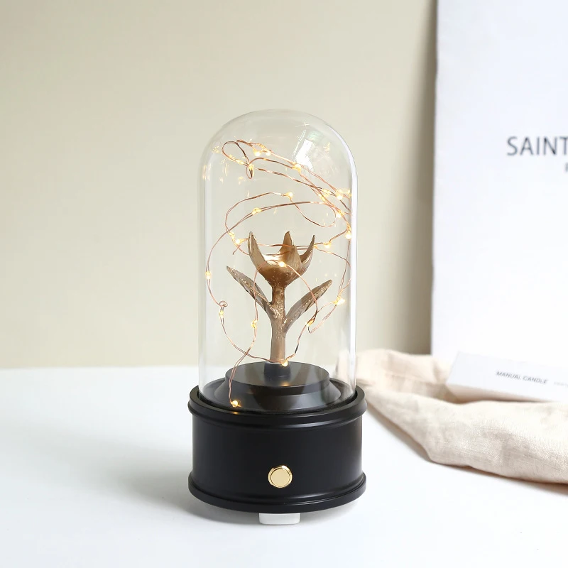 

Creative Bluetooth Music Box Audio with Lamp Glass Cover DIY Crafts Home Bedroom Wedding Decoration Birthday Valentine's Day Gif