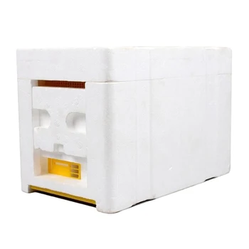 

Bee Hive Beekeeping King Box Pollination Box Foam Frames Beekeeping Tool Kit for Farm Garden Beeworking Pollination