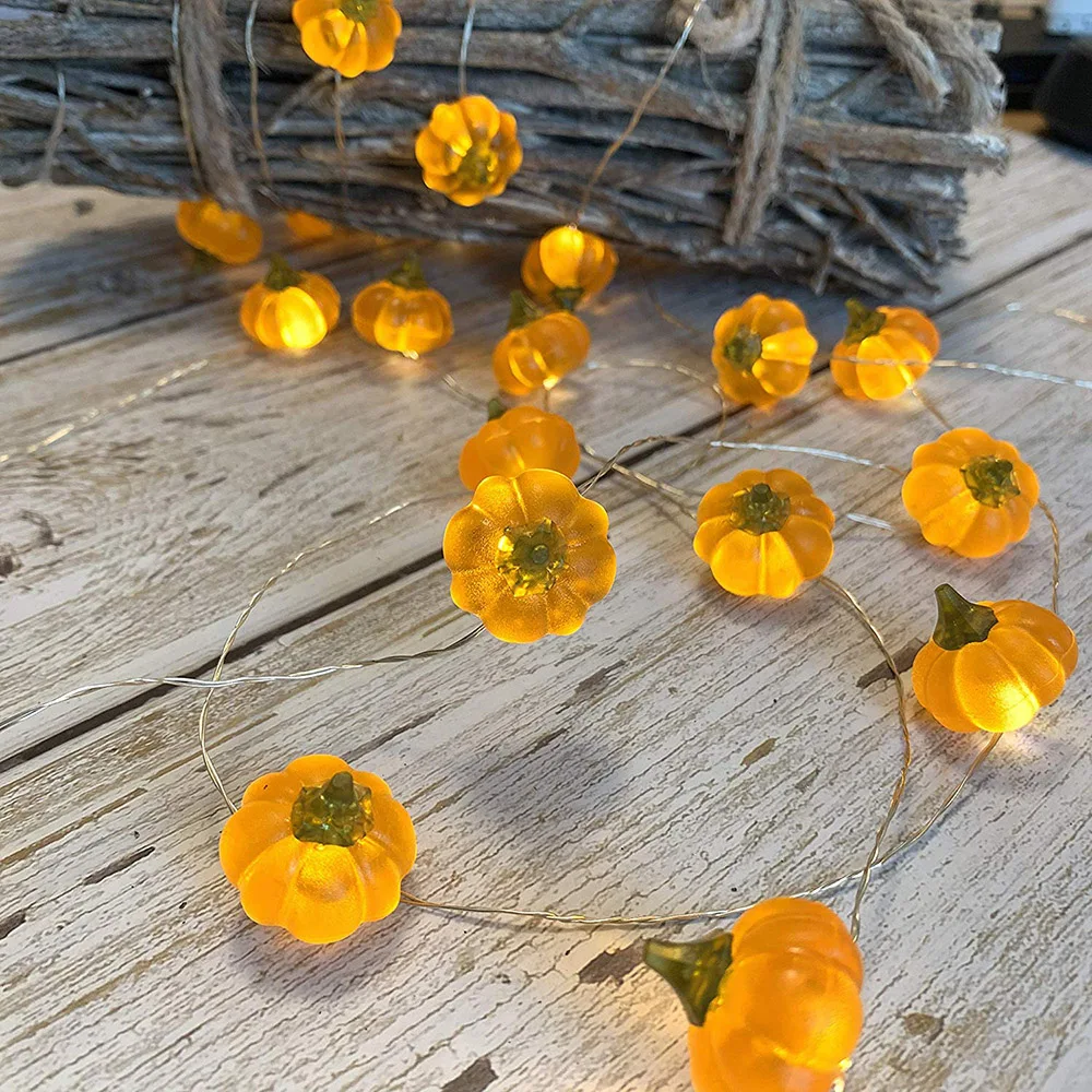 91tNJZSEIGL._AC_SL1500_