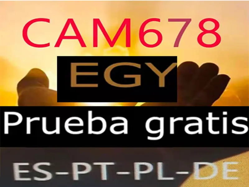 HOME-CAM6/8 e-gygold торговая панель черный стационарный приемник Испания Германия