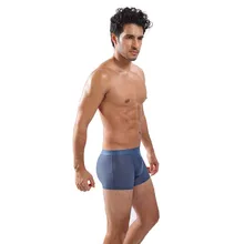 2019 Breathable Mesh Silk Men Boxers Plus size Mens Bodysuit Underwear Male Panties Sexy Underpants