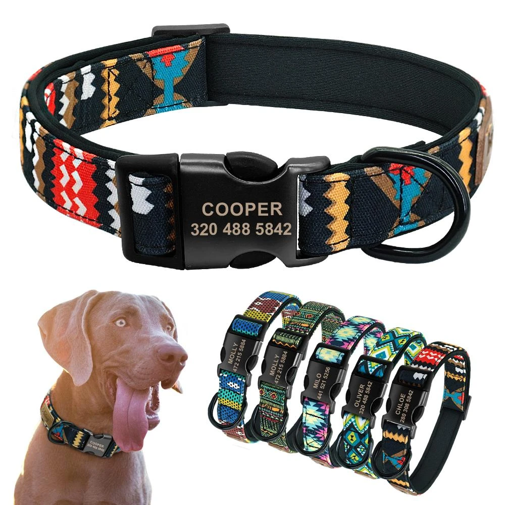 pitbull puppy accessories