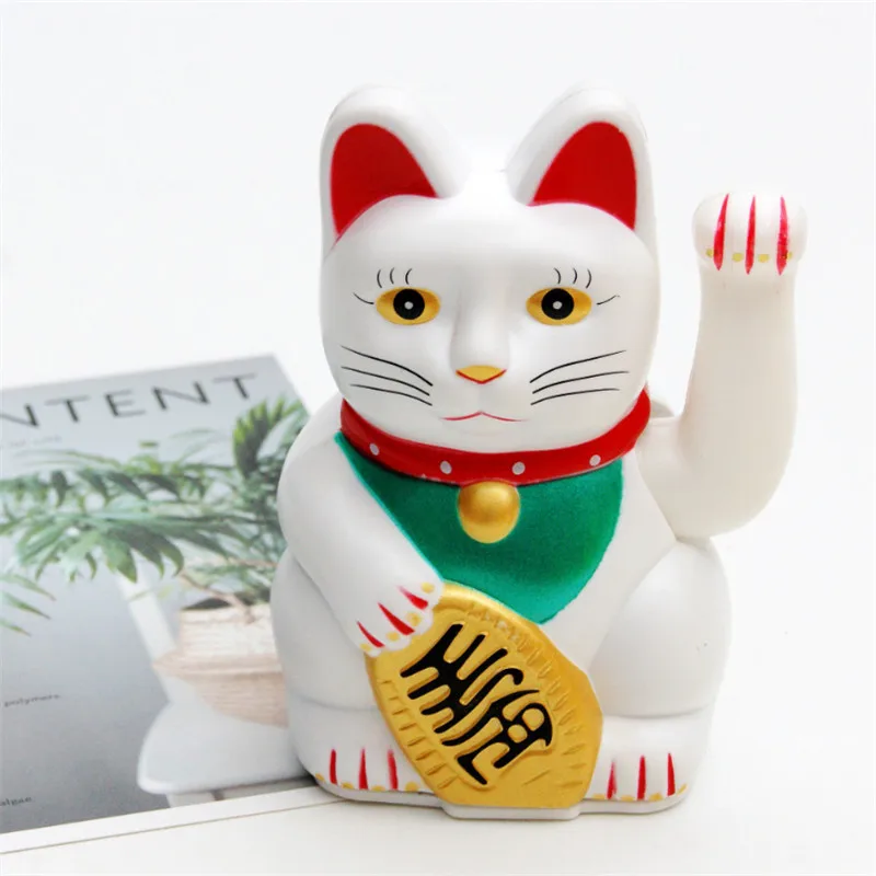 white chinese cat