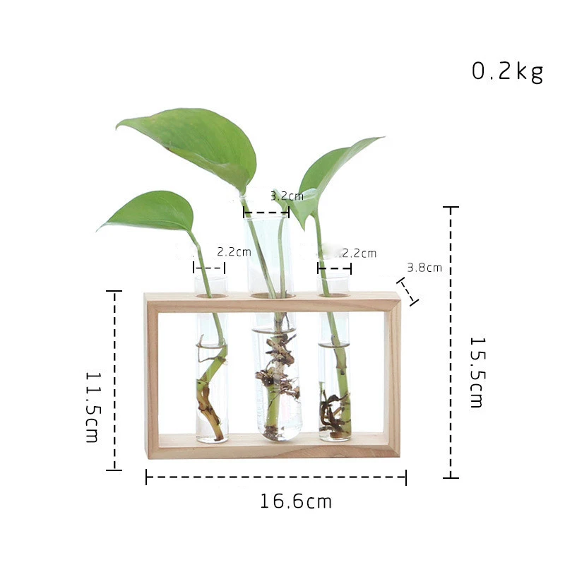 2019Hot Sale Simple Nordic Crystal Glass Test Tube Vase in Wooden Stand Flower Pots for Hydroponic Plants Home Garden Decoration