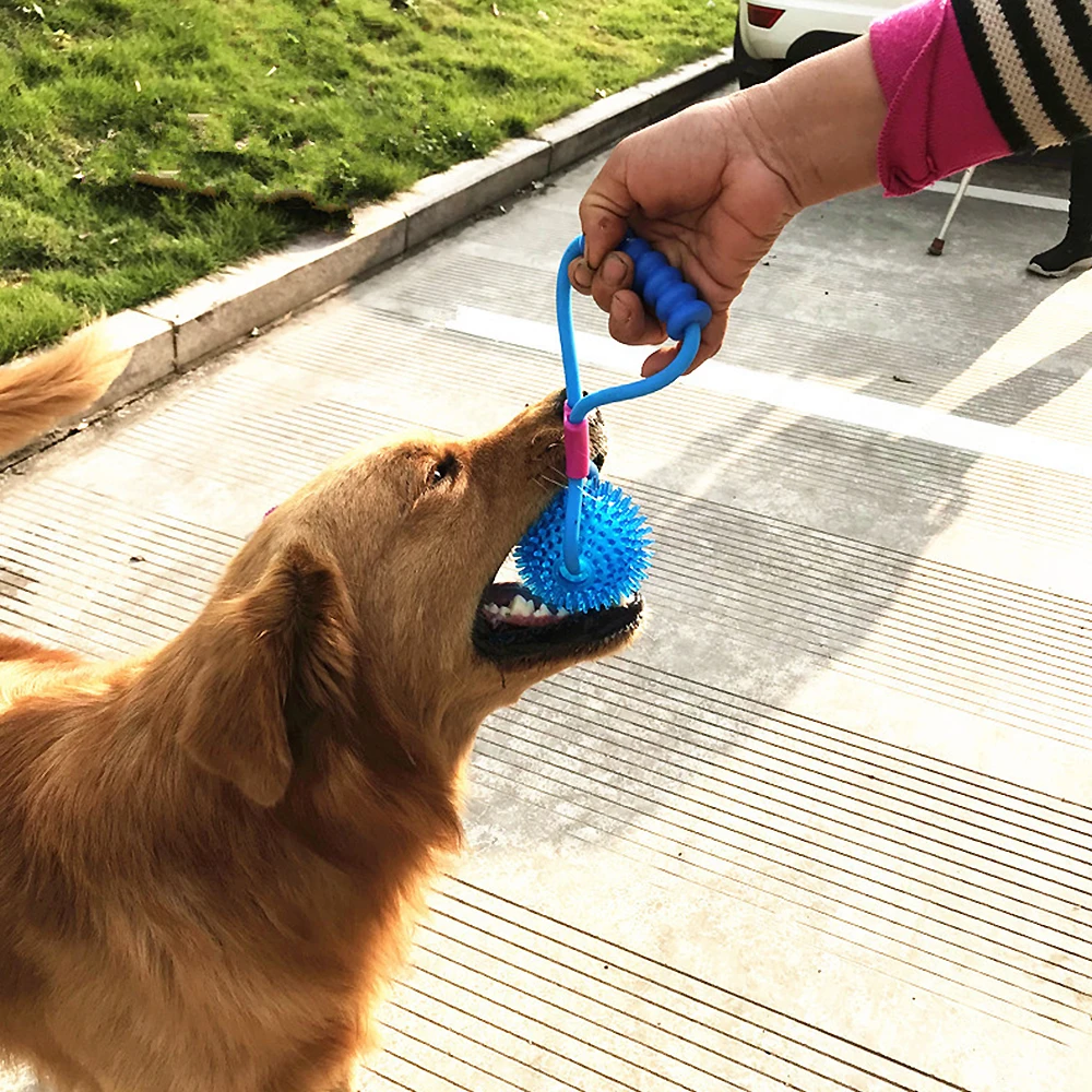 Игрушка для собак Ropeball с присоской для домашнего животного, игрушки с шариками TPR, для чистки зубов, красный, синий, зеленый 0