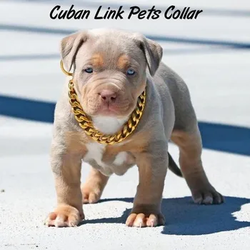 

Cuban Link Thick Golden Chain Dog Cat Pets Safety Collar Dog Strong Training Dog Necklace For Large Dogs Bulldog dropshipping#40