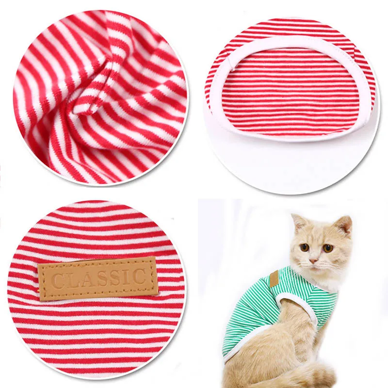 cat clothes