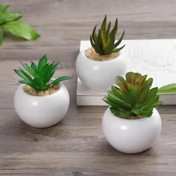 

3pcs Mini Decorative Faux Succulent Artificial Succulent Fake Simulation Plants with White Pots