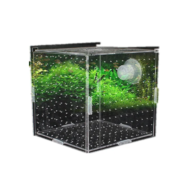 1pcs Fish Tank Transparent Aquarium Single Double Multi Grid Isolation Box Small Fry Incubator Breeding Box Aquatic Pet Supplies 2