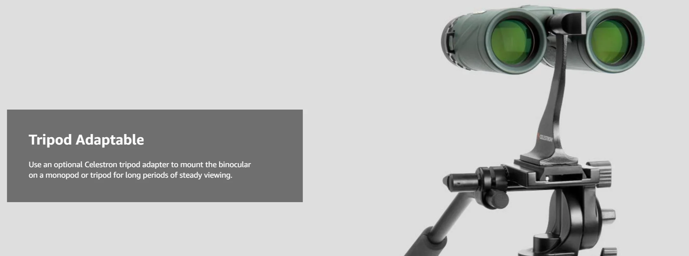 Топ палочки оптика Celestron природа DX 8x42 бинокль BaK-4 призмы туман и водонепроницаемый телескоп открытый и птичий