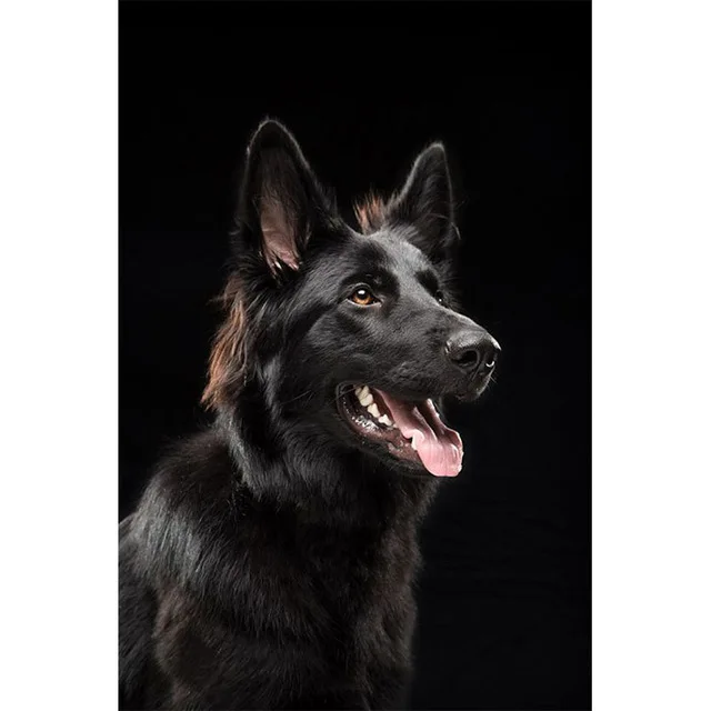 German Shepherd diamond painting Dog 5d DIY diamond embroidery full squareround mosaic picture of rhinestone animals,wall decor