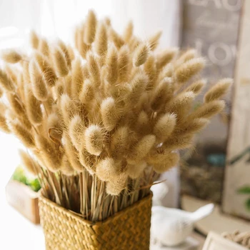 

30Pcs/Bunch Lagurus Ovatus Natural Dried Flowers Bouquet Wedding Home Easter Decoration Rabbit Tail Grass Real Flowers Props