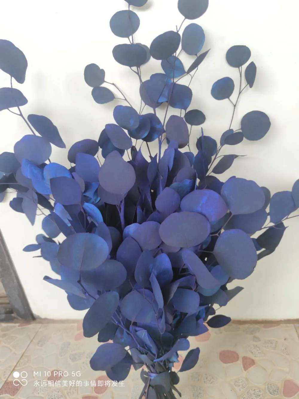 微信图片_20201020150302