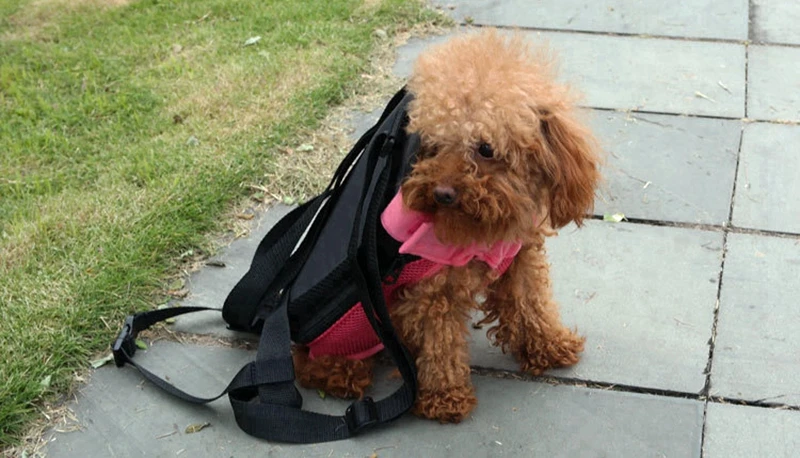 Сетки собака рюкзак Портативный сумка для перевозки домашних животных для кошки собаки сумка для переноски животных дышащая кошка