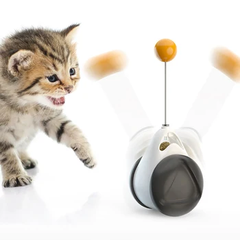 

Cat with rolling swing toy kitten interactive balance car cat chase toy cat cat and cat interesting pet products