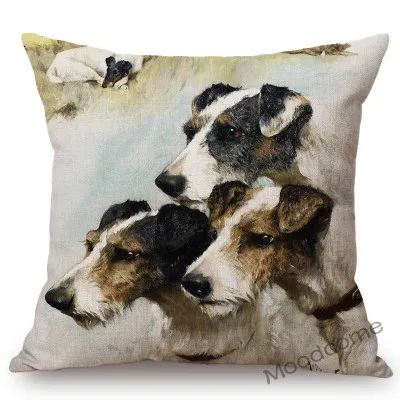 conew_n387 (46) 副本