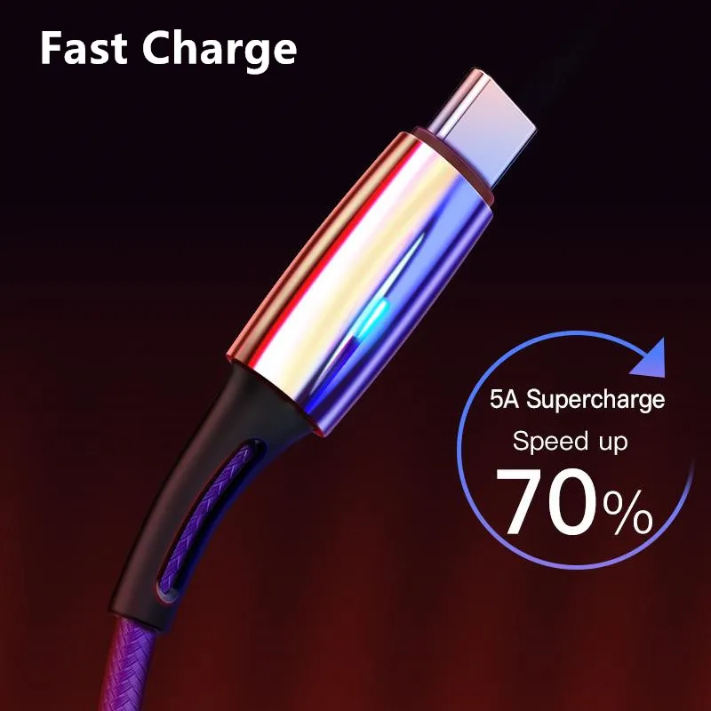 

Type C USB Charge Cable for Samsung Galaxy S10 5G S10e S9 S8 Plus Note 10 9 8 A20 A30 A40 A50 A60 A70 A80 M20 M30 A6S A8S A9 Pro