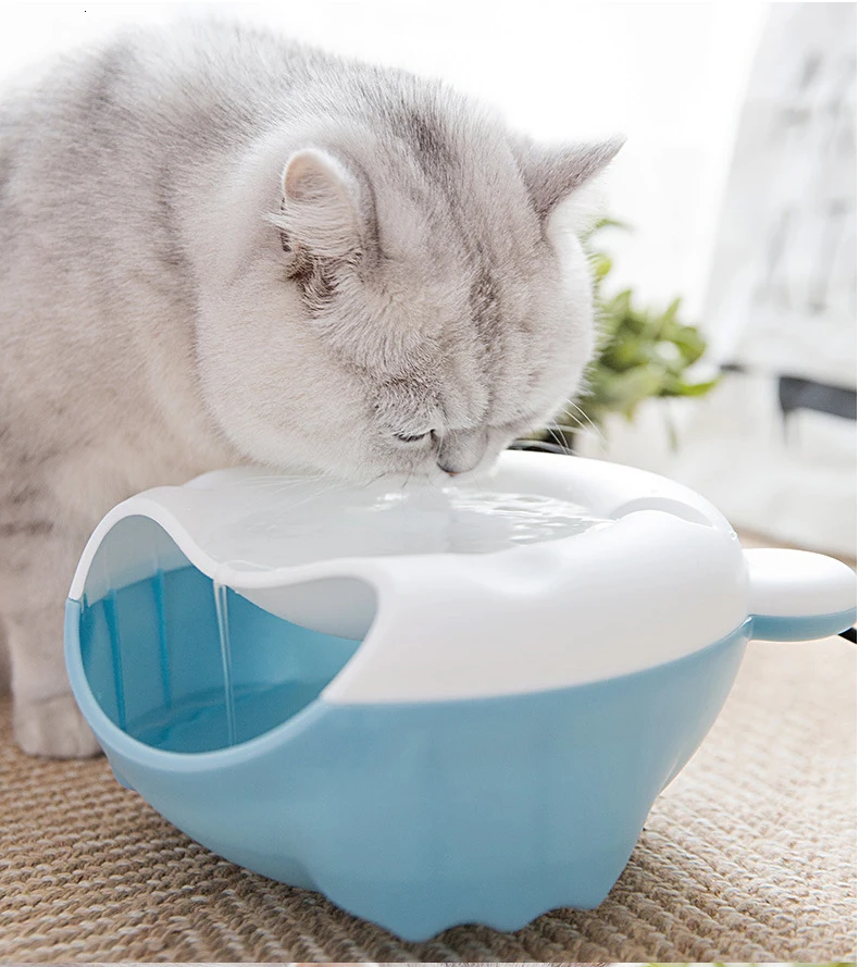 10766066443_859103132