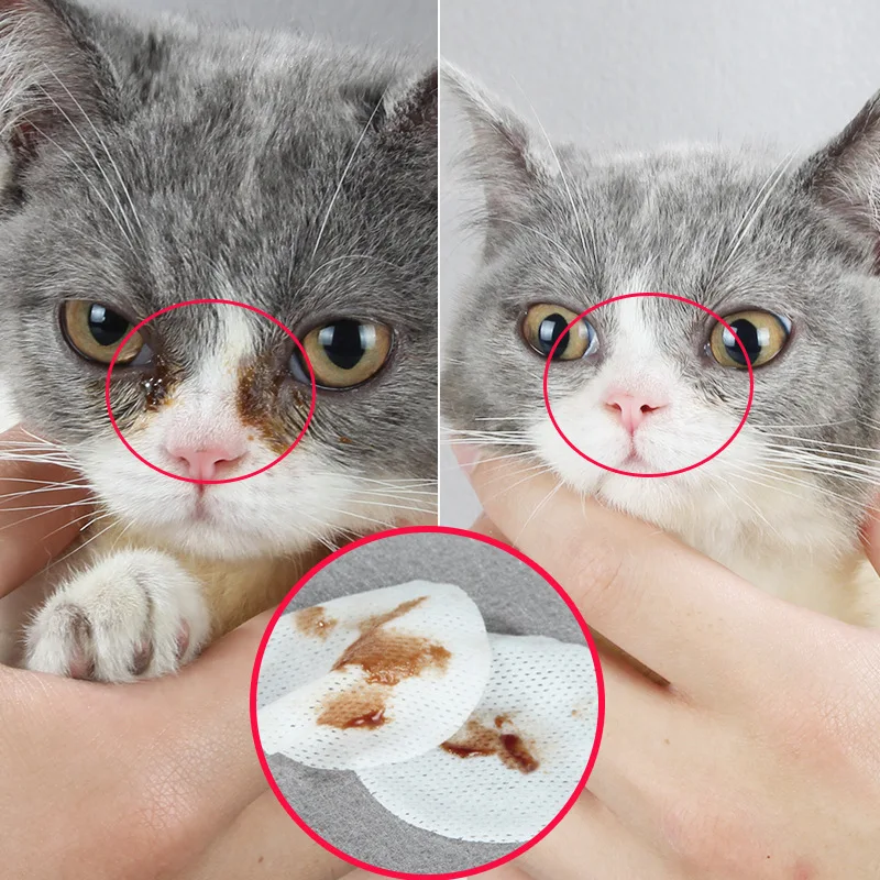 100 unids/set mascotas perros gatos limpieza toallas de papel de los ojos toallitas húmedas lágrima quitamanchas suave no-intivating toallitas aseo suministros