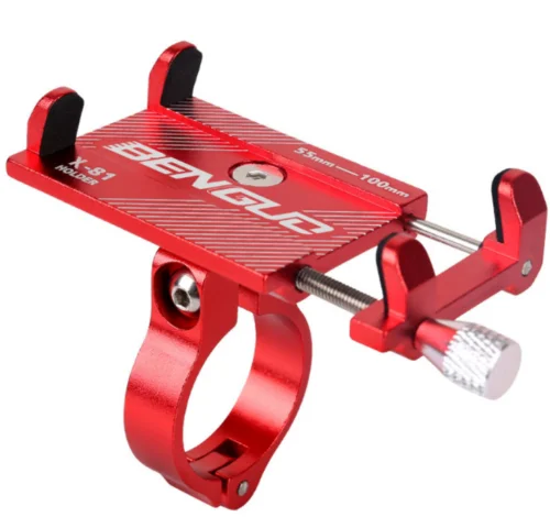 Electric Scooter  (5)